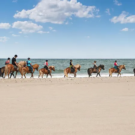 Gorgeous In With Wifi 한스트홀름